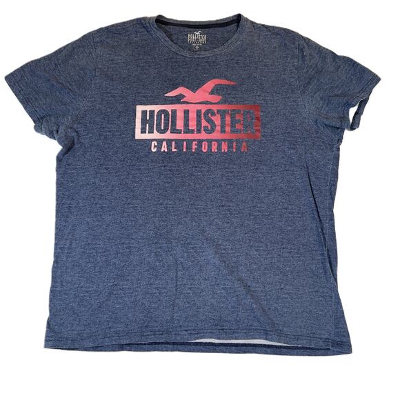 Hollister T-Shirts *Lot of 2* Men M Logo Cali Teal Blue w Bird & Slate Blue Grey - Picture 2 of 16